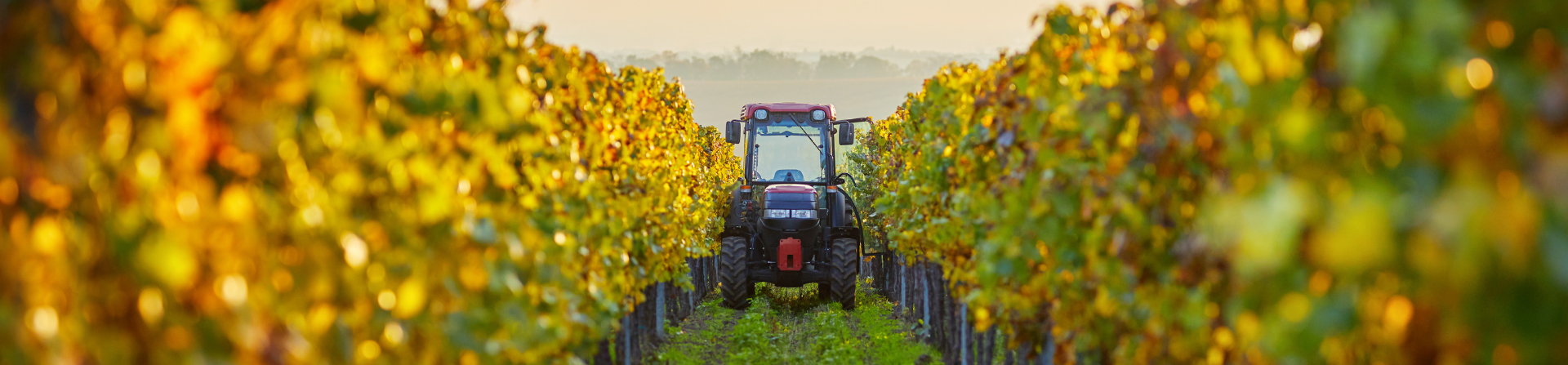 Elettrificare il settore agricolo: la rivoluzione silenziosa che sta cambiando il lavoro nei campi | Flash Battery