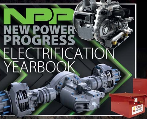 NPP electrification yearbook 2020