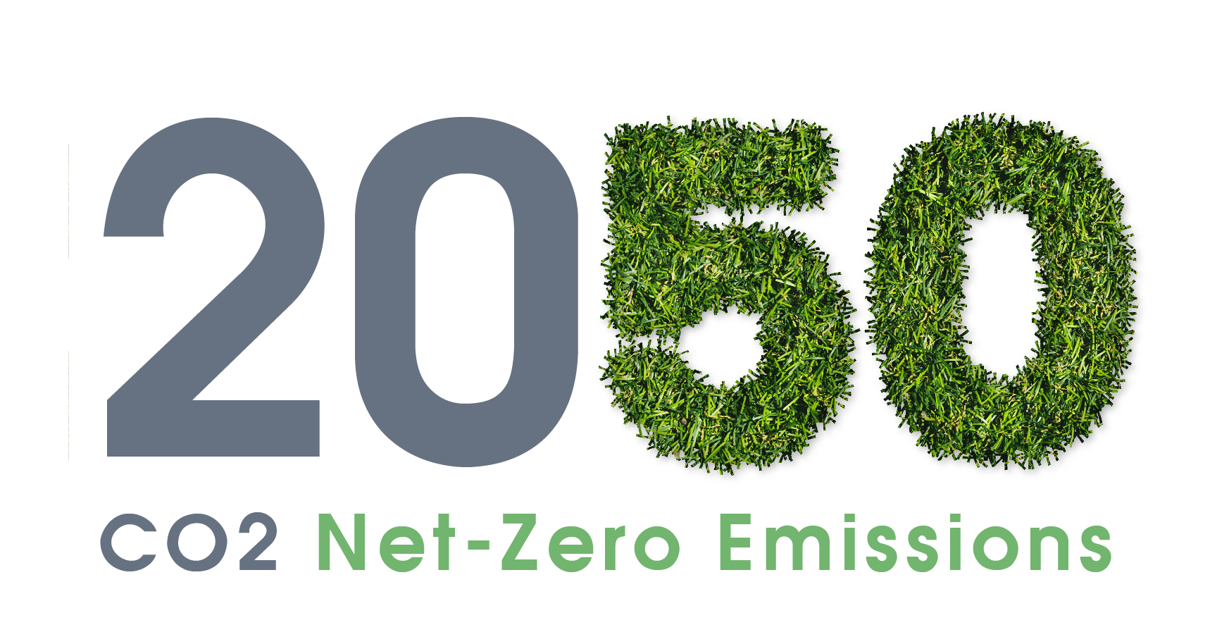 potential green hydrogen co2 net zero emissions 2050