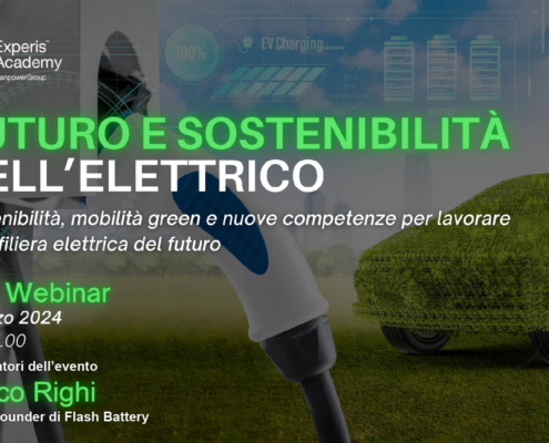 webinar future sustainability electric experis academy
