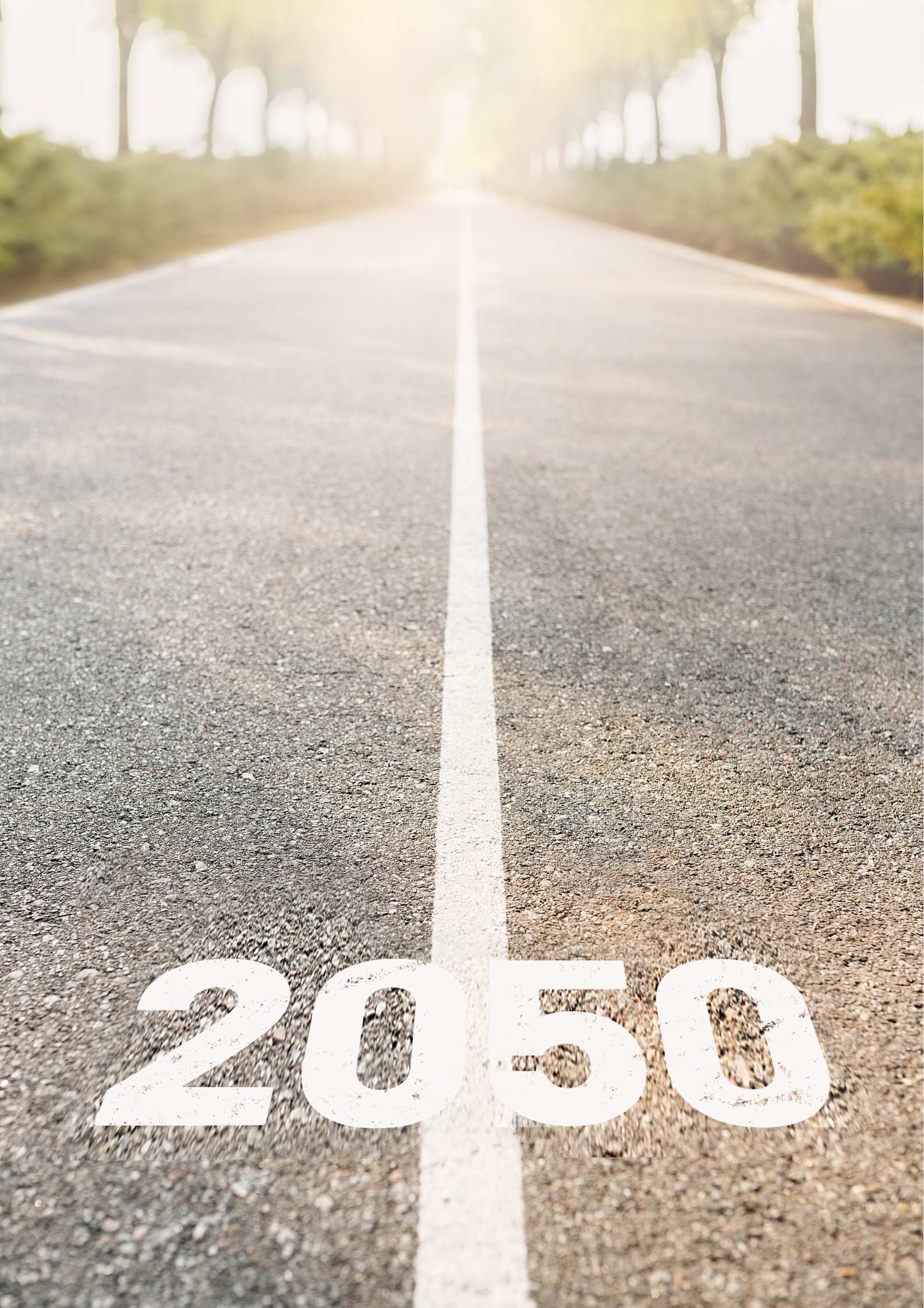 Klimaneutralität 2050